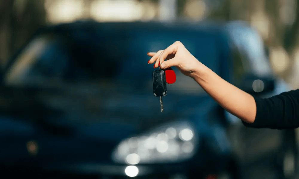 Euro Haus Autocare: Luxury Car Service Providers Offer Pickup and Delivery