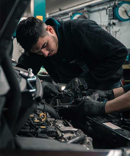 euro haus auto care